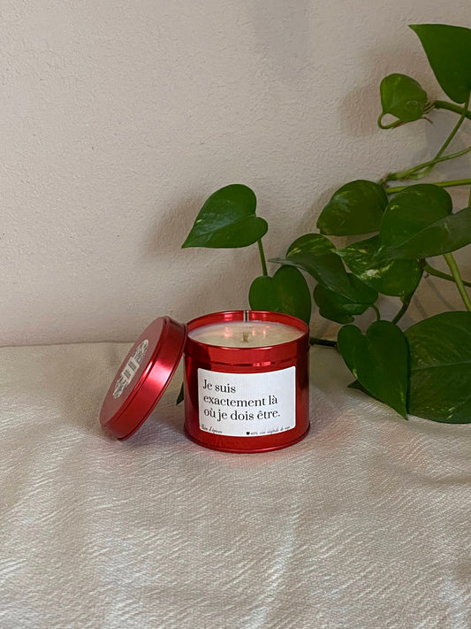 Je suis exactement là...-pain d'épices