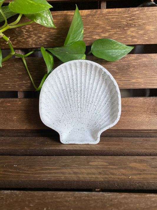 Coupelle Coquillage effet granit gris