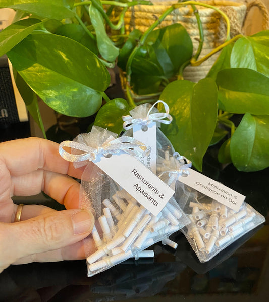 Sachet de 30 messages positifs «ABONDANCE FINANCIÈRE»